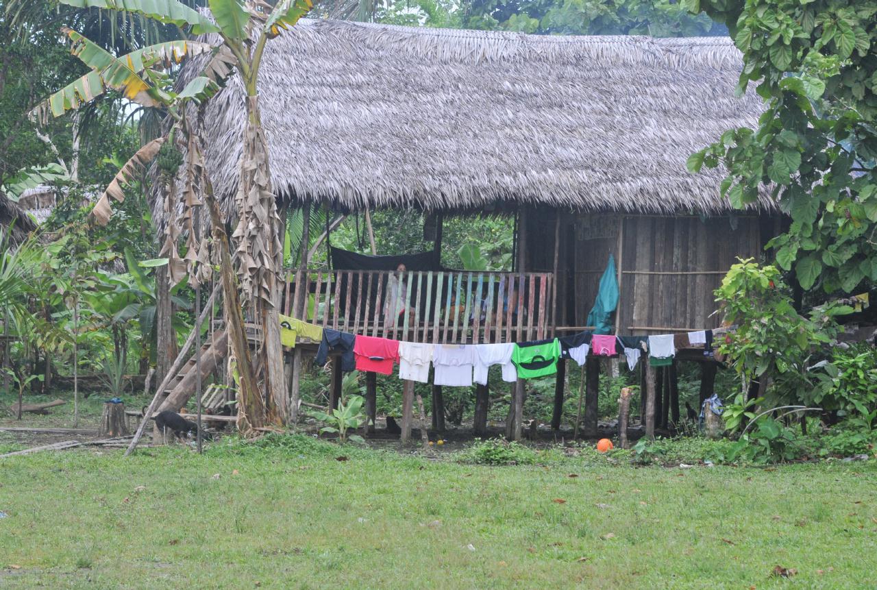 ./Hung_Laundry_20090406_101504_AguajalAmazonPeru_2268BCX.jpg