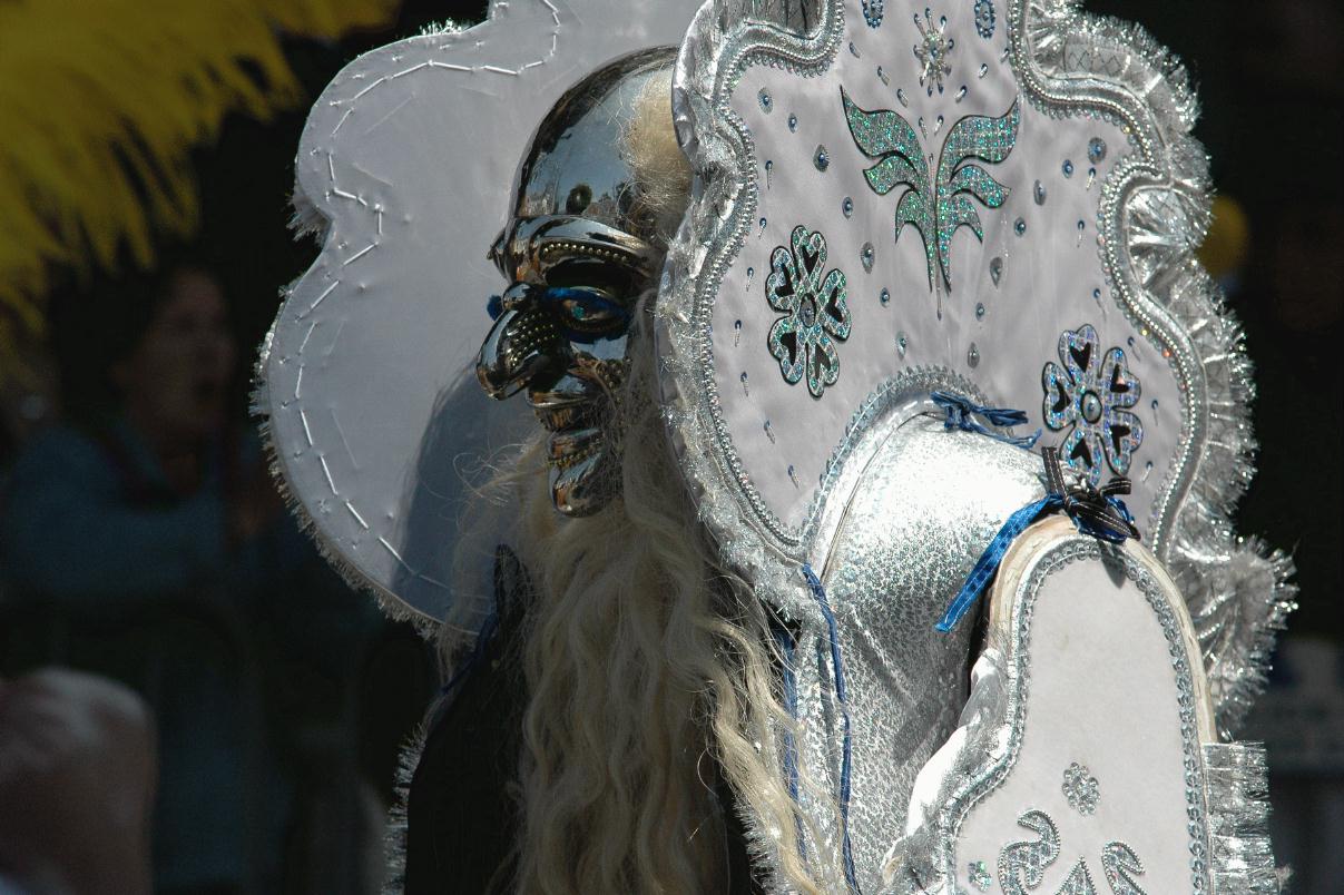 ./Mask_As_Apparel_20080525_110614_CarnivalParade_3529B.jpg