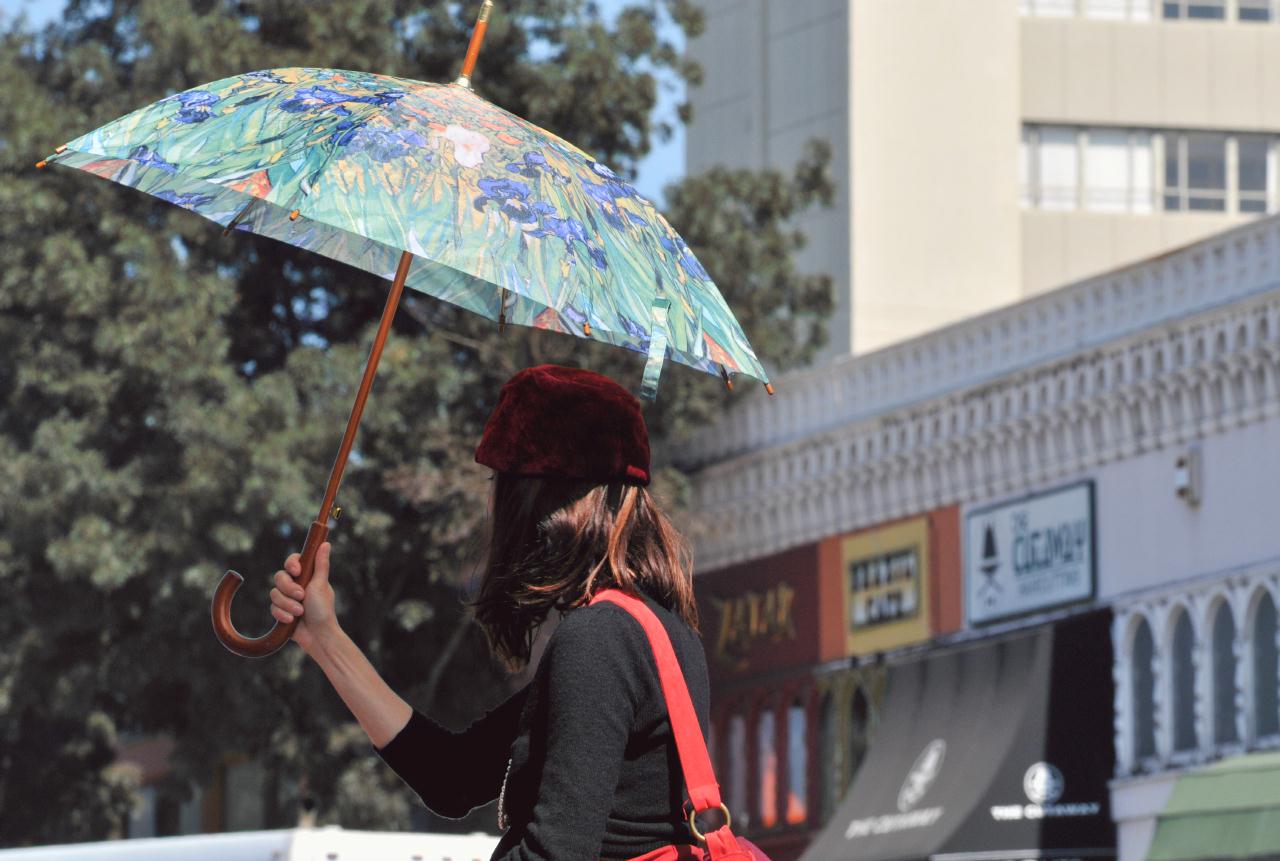 ./UmbrellaHowBerkeley20080928_6466BCX.jpg