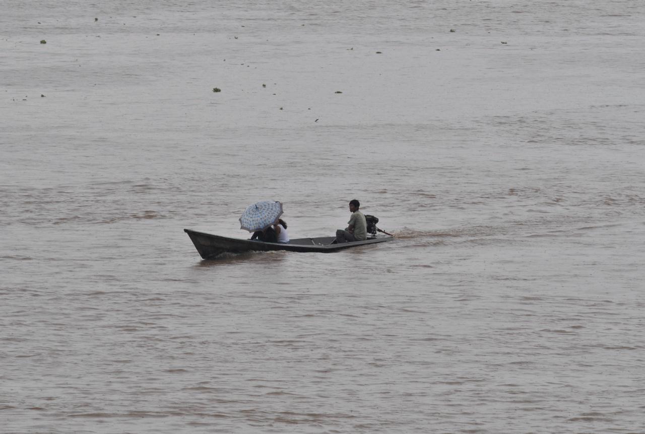 ./Umbrella_20090410_071418_Amazon_Peru_BCX_3169.jpg