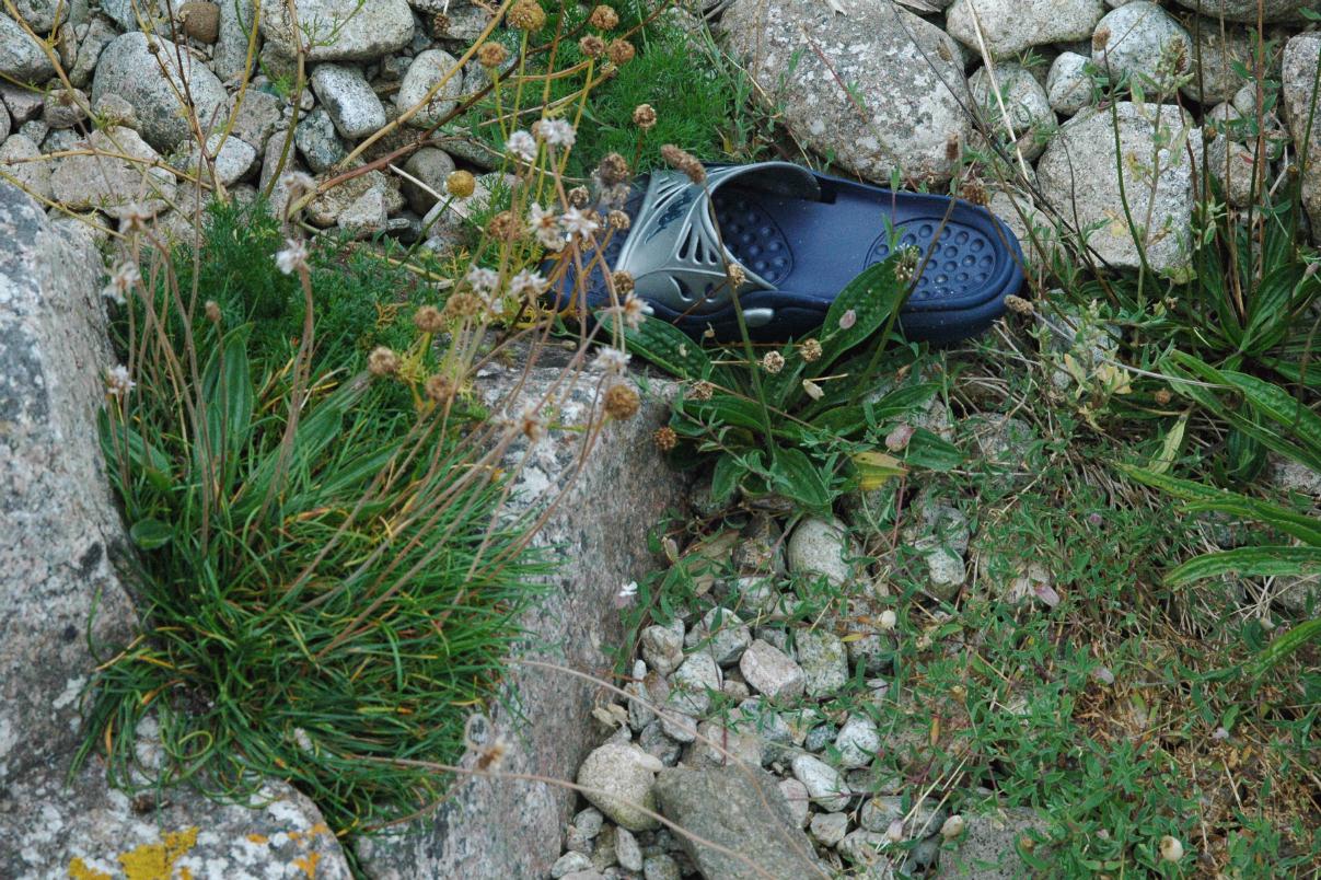 ./Lost_Shoe_20070000_Furbo_Ireland_06.jpg