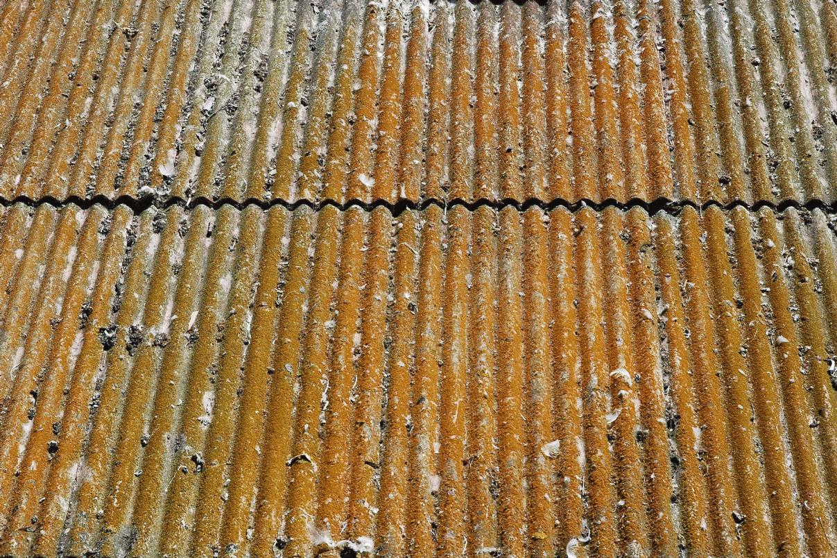 ./Orange_Color_20080608_104834_Roof_Alcatraz_Tour_3772B.jpg