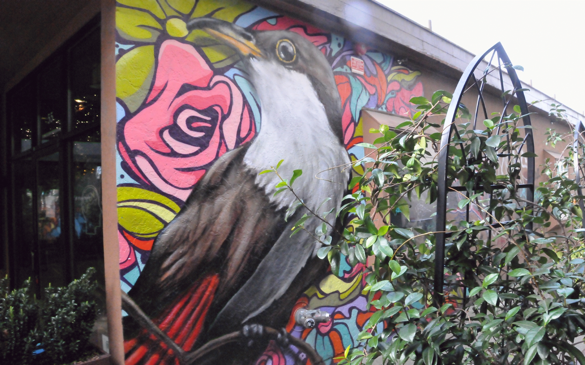 ./Bird_With_Flowers_Mural_by_Bayne_Gardner_20220219_144310_C22_0191.jpg