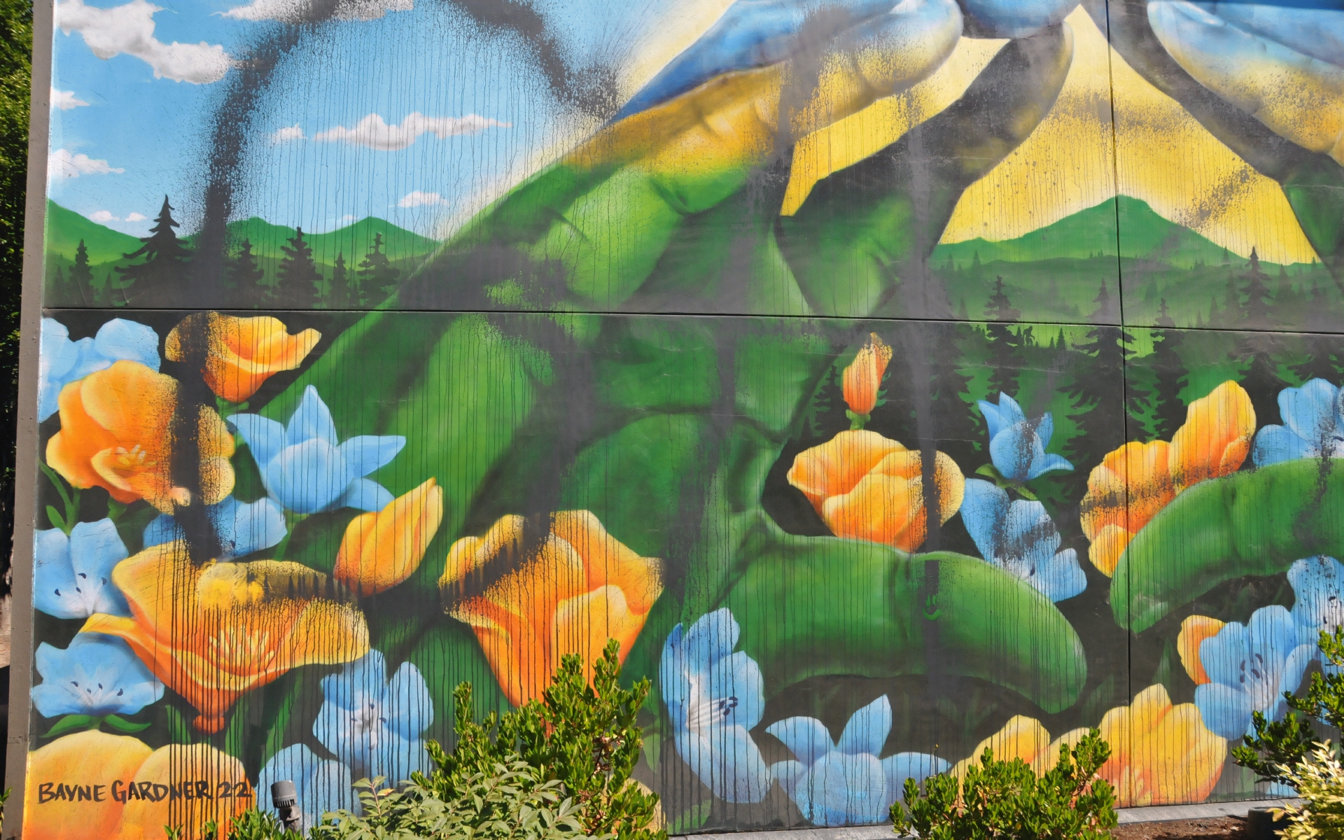 ./Flower_Hands_Mural_2022_20240628_110538_C24_0237.jpg