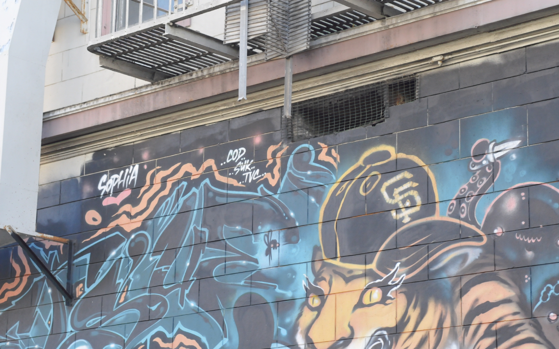 ./Tigrer_Mural_by_Dan_Plasma_15th_Street_and_Valencia_San_Francisco_20191017_095045_C19_4810.jpg