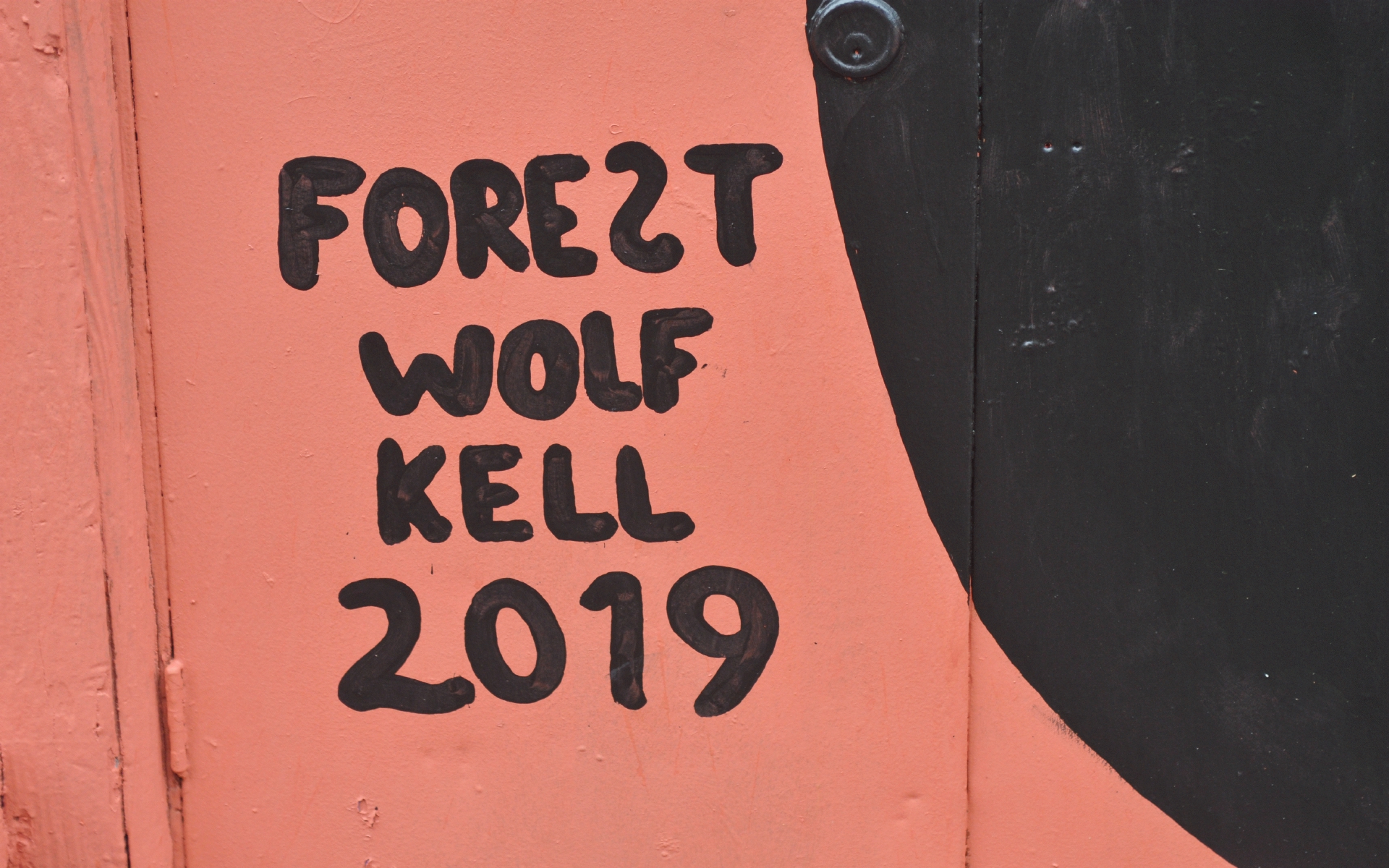 ./Packing_Mural_2019_by_Forest_Wolf_Kell_20190226_153945_C19_1534.jpg