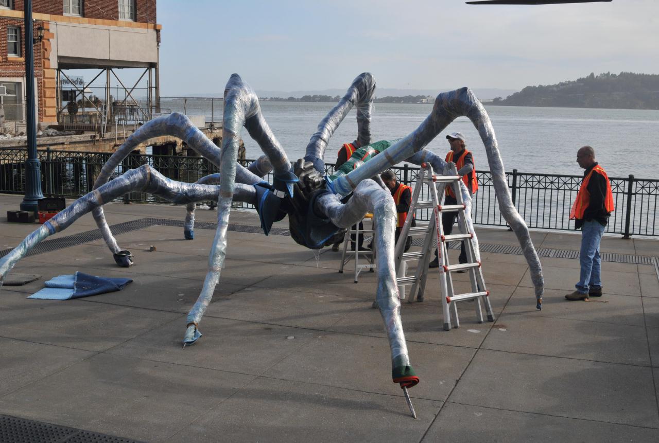 ./CrouchingSpider20090424_095422_4368BCX.jpg