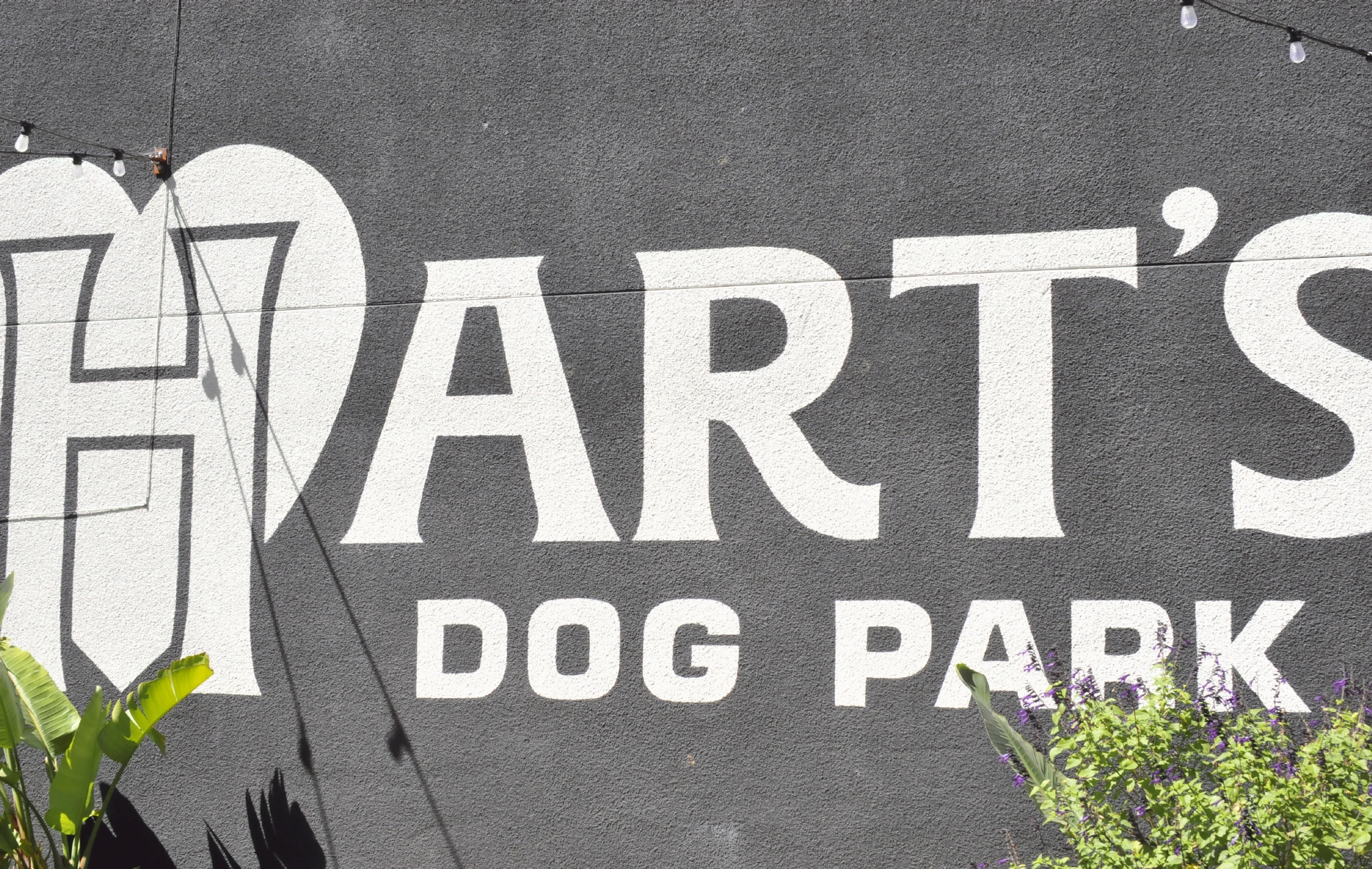 ./Harts_Dog_Park_by_Roan_Victor_San_Jose_California_20180529_105145_C18_6369.jpg