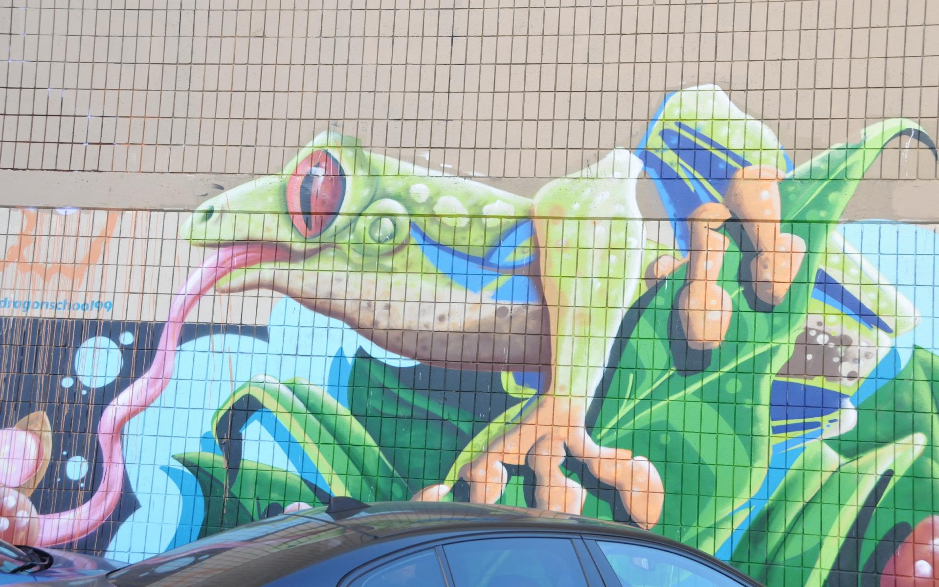 ./Frog_Mural_20221025_112838_C22_1799.jpg