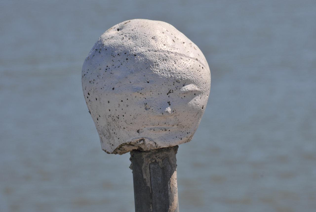 ./Head_On_Post_Pier_34_20100715_145556_8564TNT.jpg