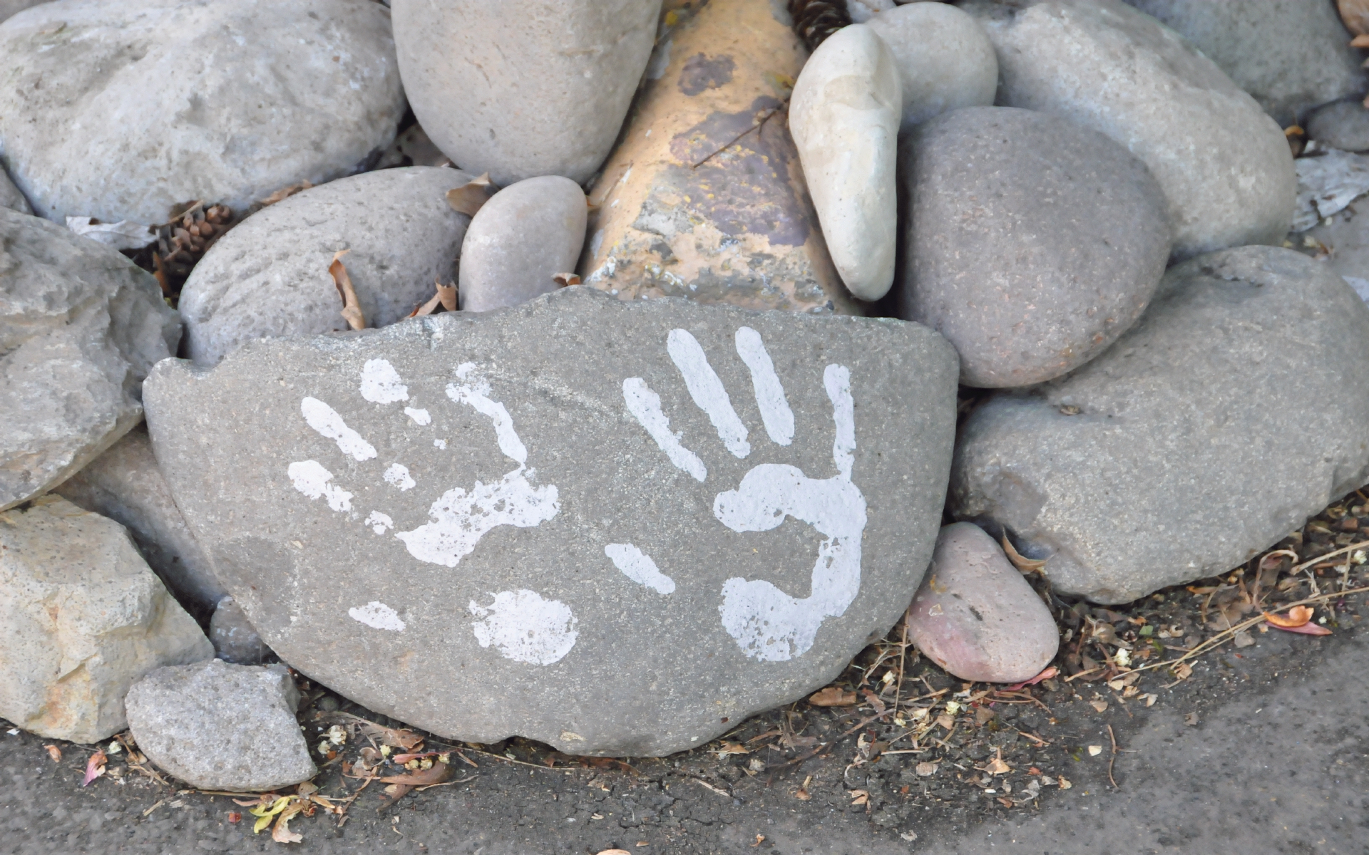 ./Rock_Art__Eugene_Oregon_20230519_1058123_C23_0361.jpg