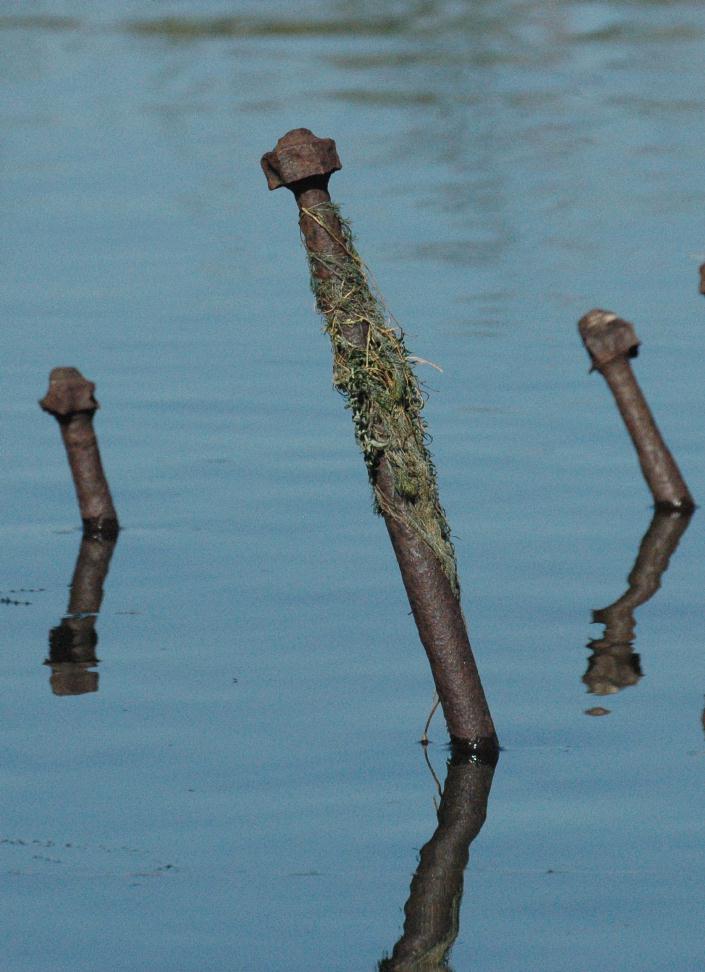 ./OnWaterReflection20070000_SactoDelta_03T.jpg