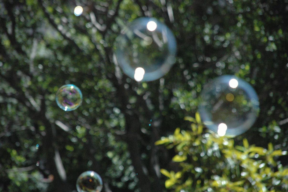 ./Soap_Bubbles20070000_01.jpg