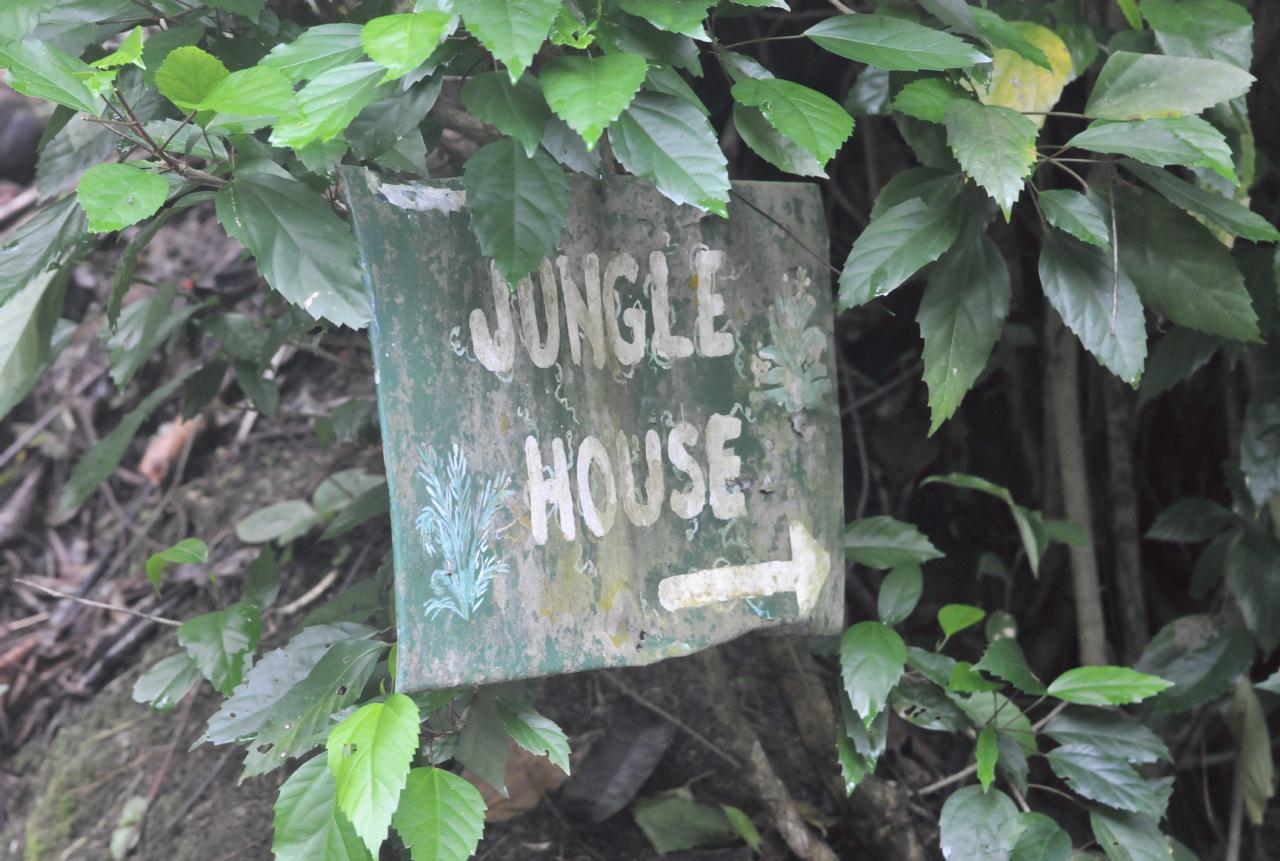 ./JungleHouseQueposCostaRica20080919_5737BCX.jpg