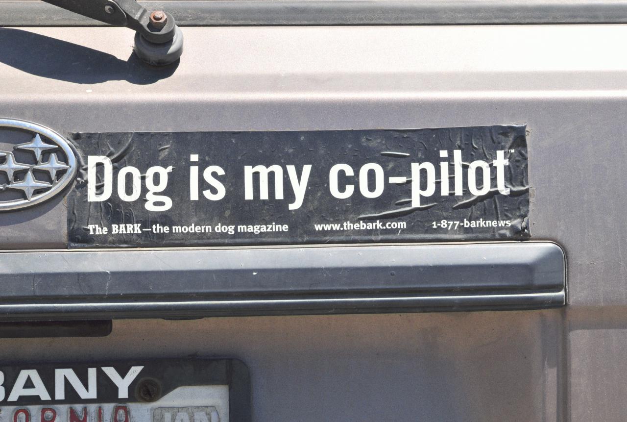 ./Bumper_Sticker_20080726_1552BCX.jpg