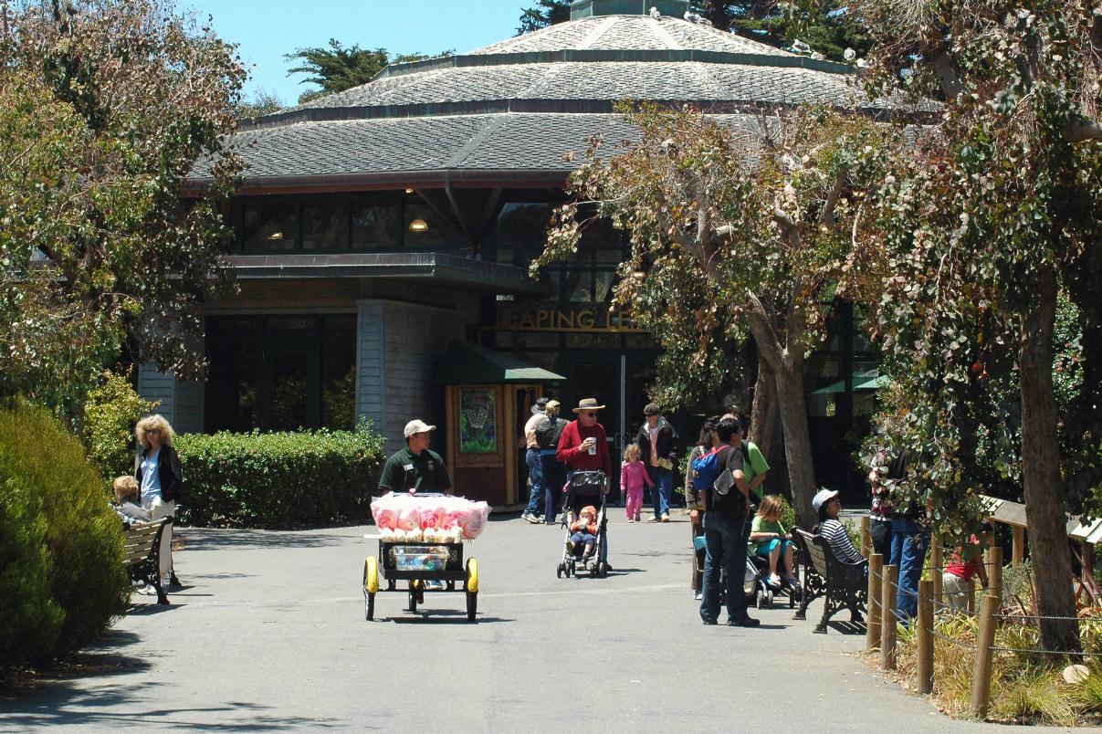 ./Cotton_Candy_20080607_120448_SFZoo_3604B.jpg