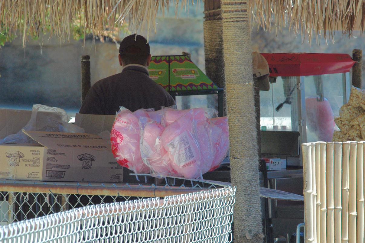 ./Cotton_Candy_20080607_123552_SFZoo_3622B.jpg