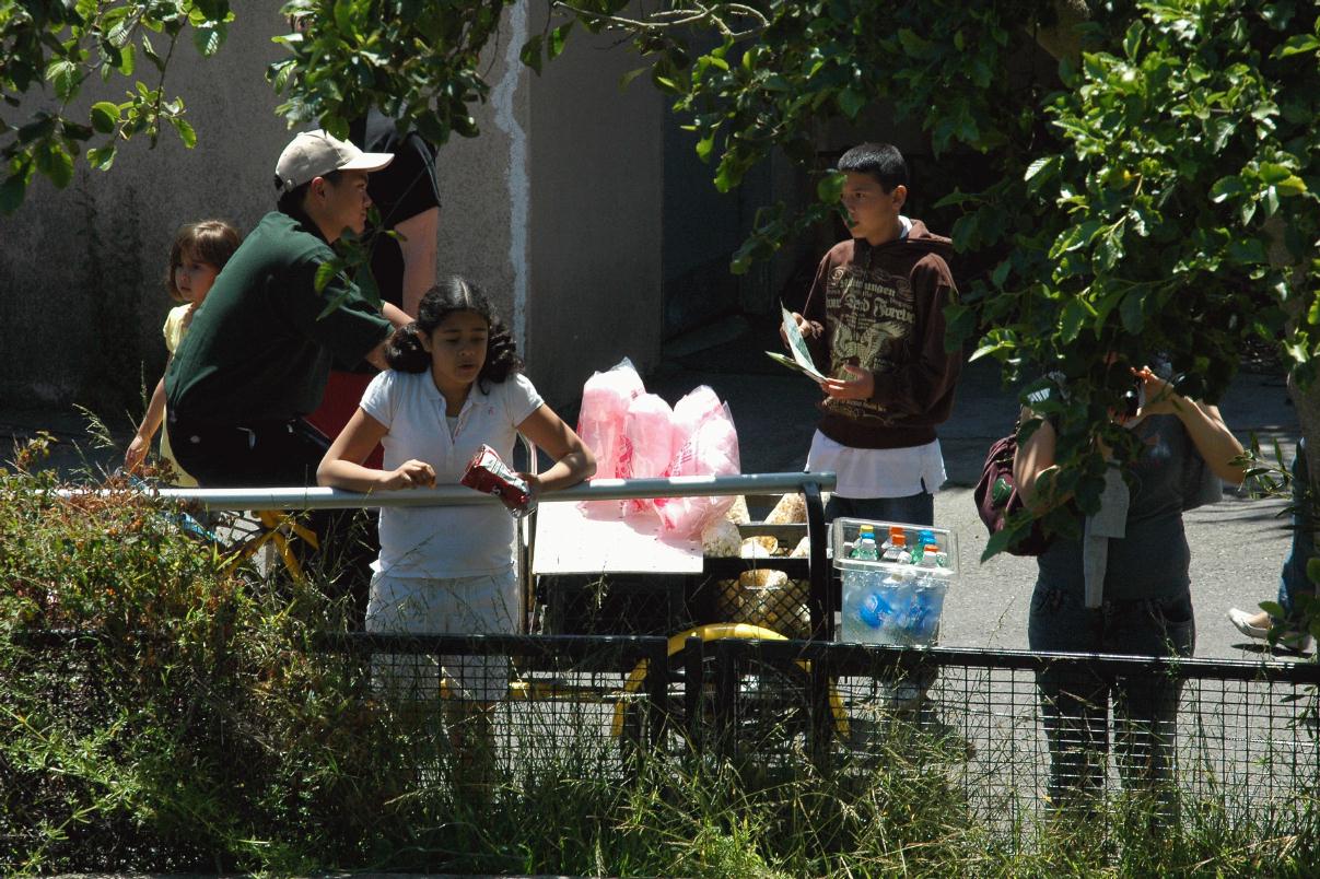 ./Cotton_Candy_20080607_133108_SFZoo_3672B.jpg