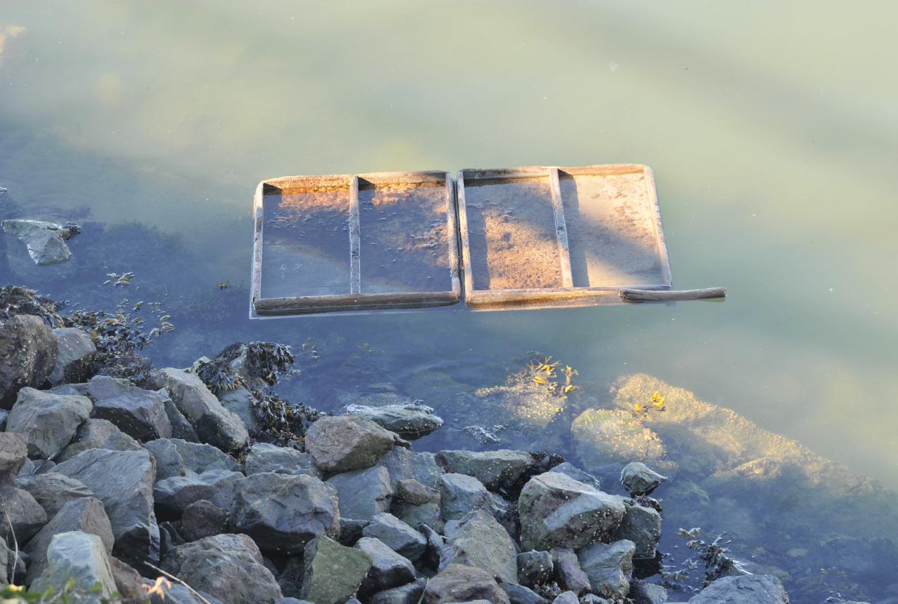 ./Flotsam20090201_142352_EmeryvilleMarina_8783BCX.jpg