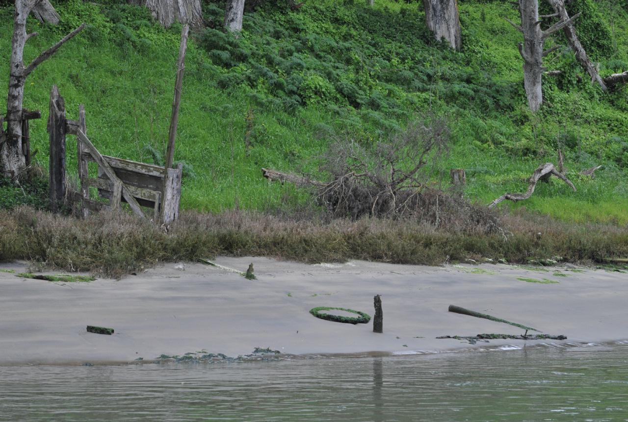 ./Tire_Trash_20100312_111736_Elkhorn_Slough_2902BCX.jpg