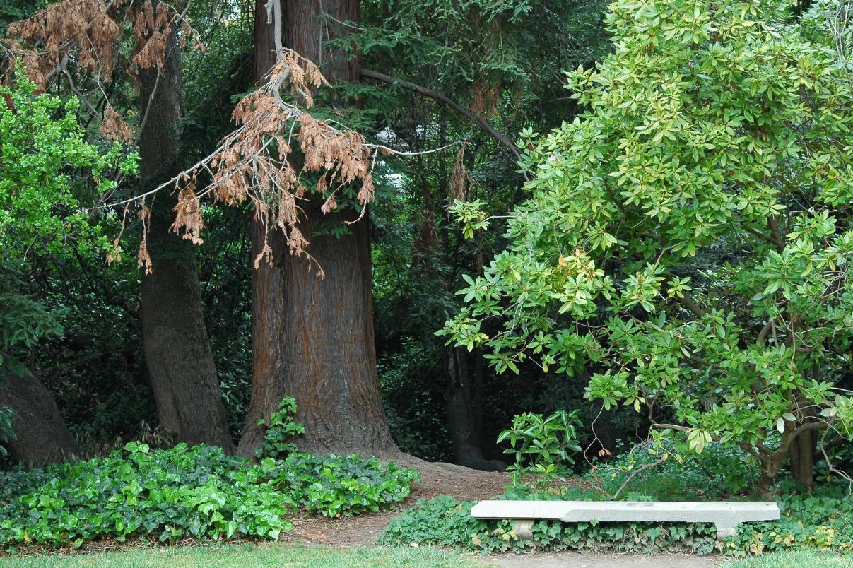 ./Bench_20070000_UC_Berkeley_02.jpg