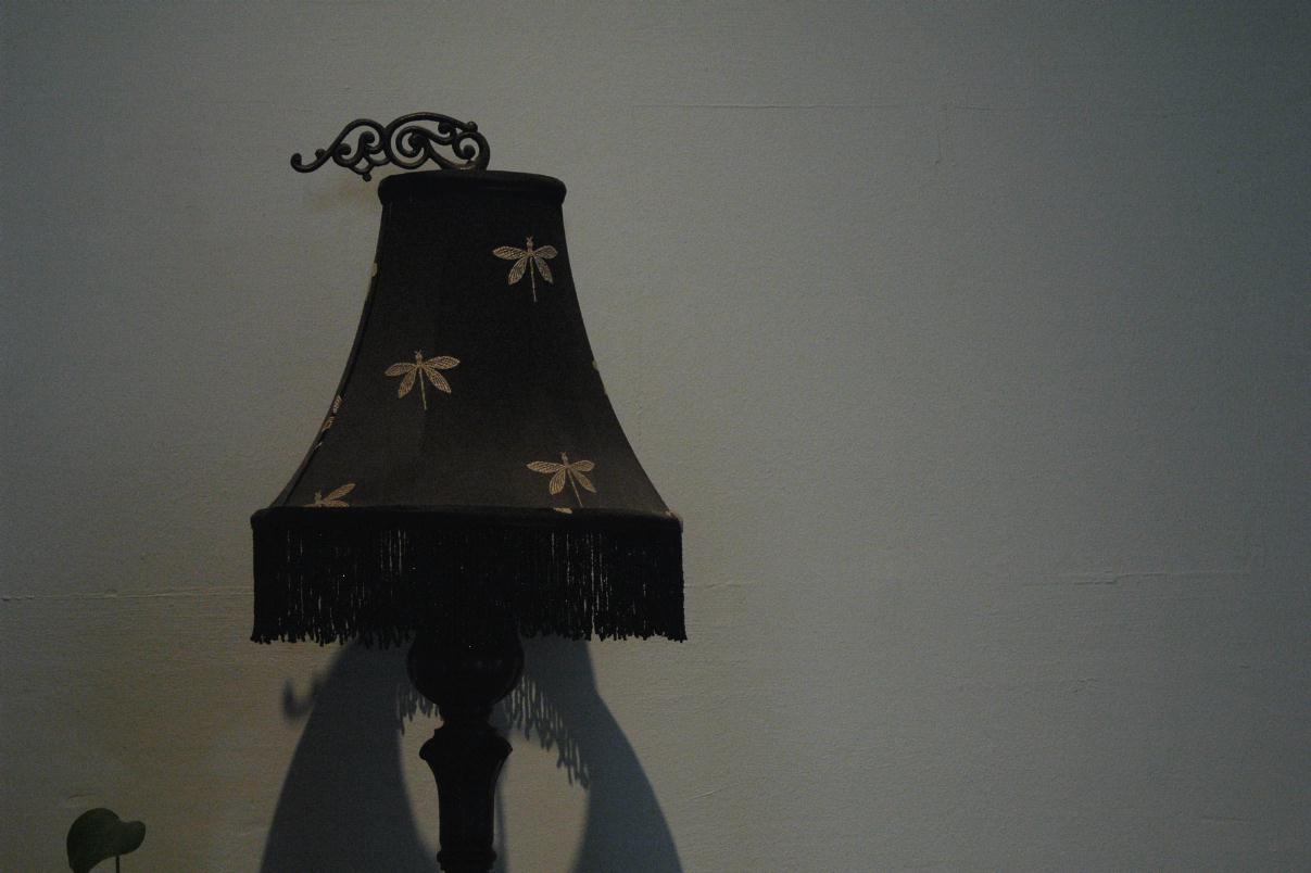 ./Lampshade2007_01.jpg