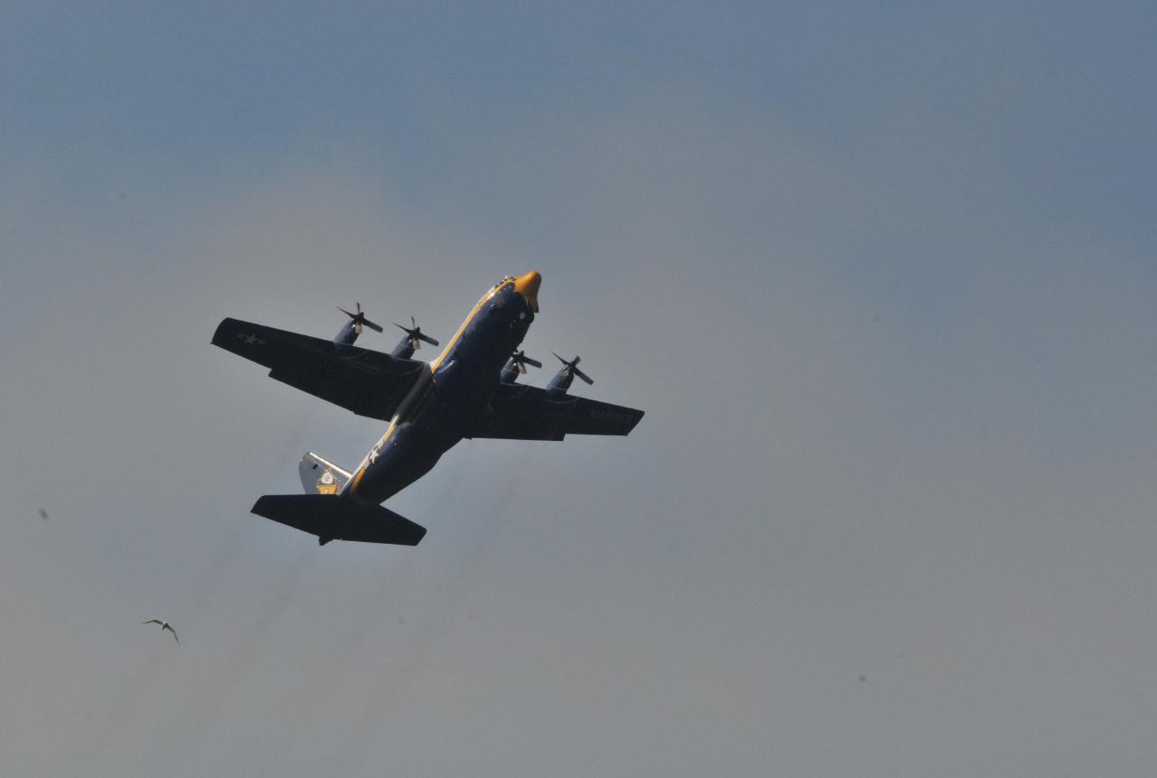 ./FleetWeek20091010_150158_9886BCX.jpg