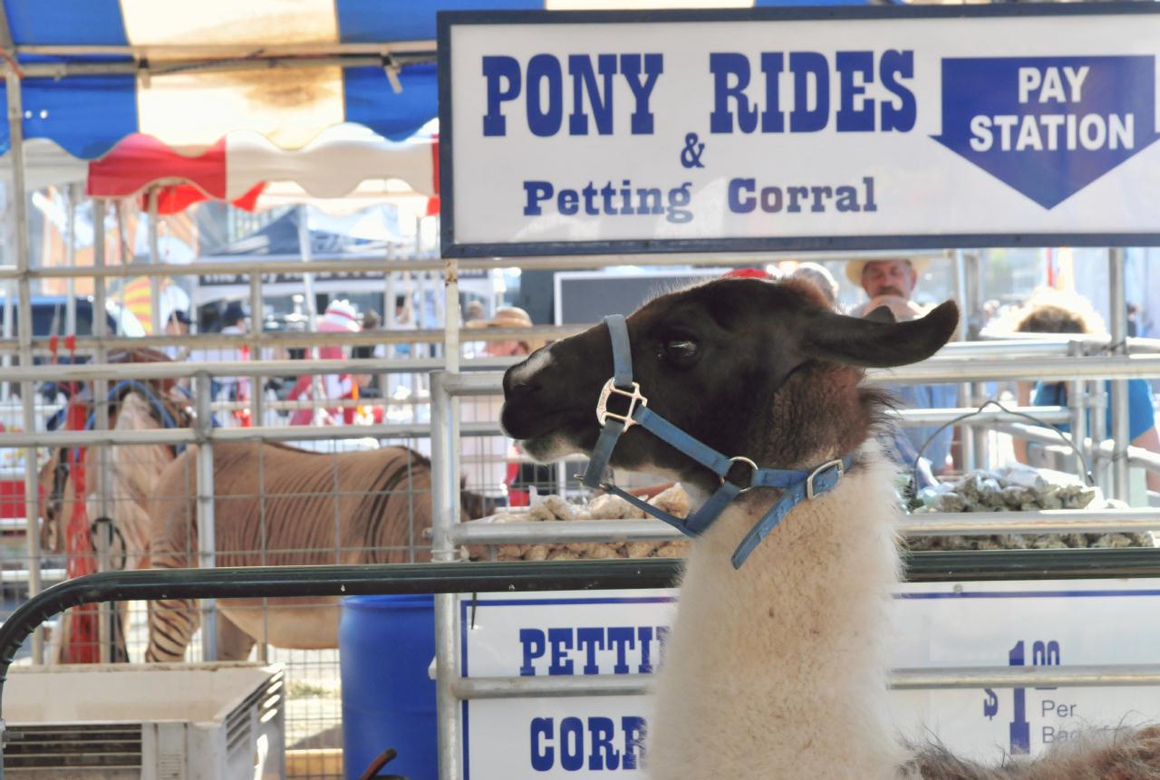 ./Giants_County_Fair_20100611_174928_6043BCX.jpg