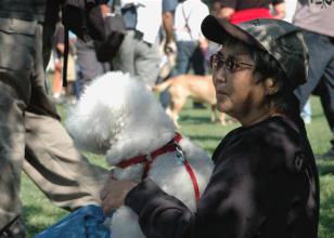 HardlyStrictly2006_09.jpg