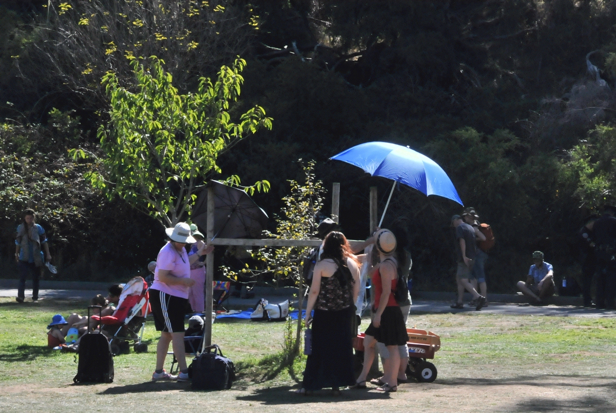 ./Hardly_Strictly_Bluegrass_20141004_120803_C14_7874.jpg