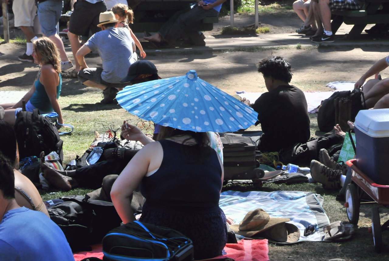 ./Hardly_Strictly_Bluegrass_20141004_122346_C14_7905.jpg