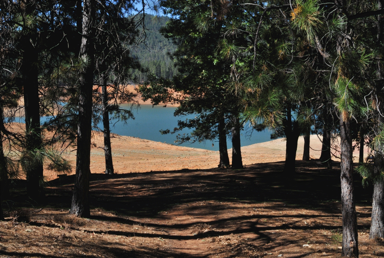 ./Shasta_Lake_20130918_105128_B13_7465.jpg