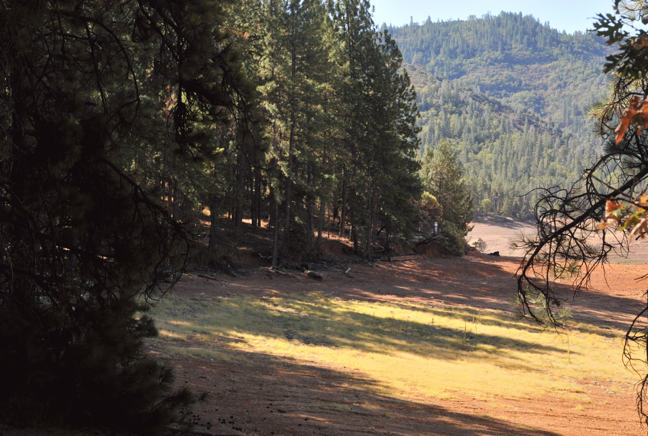 ./Shasta_Lake_20130918_105336_B13_7467.jpg