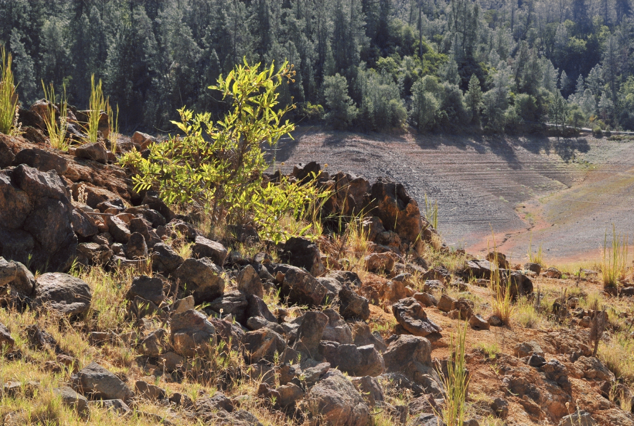 ./Shasta_Lake_20130918_103748_B13_7453.jpg