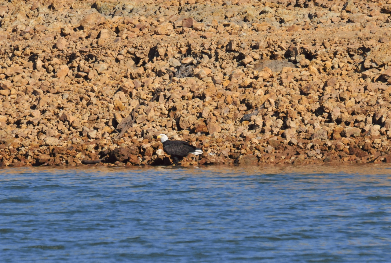 ./Shasta_Lake_20130919_094826_T13_1102.jpg