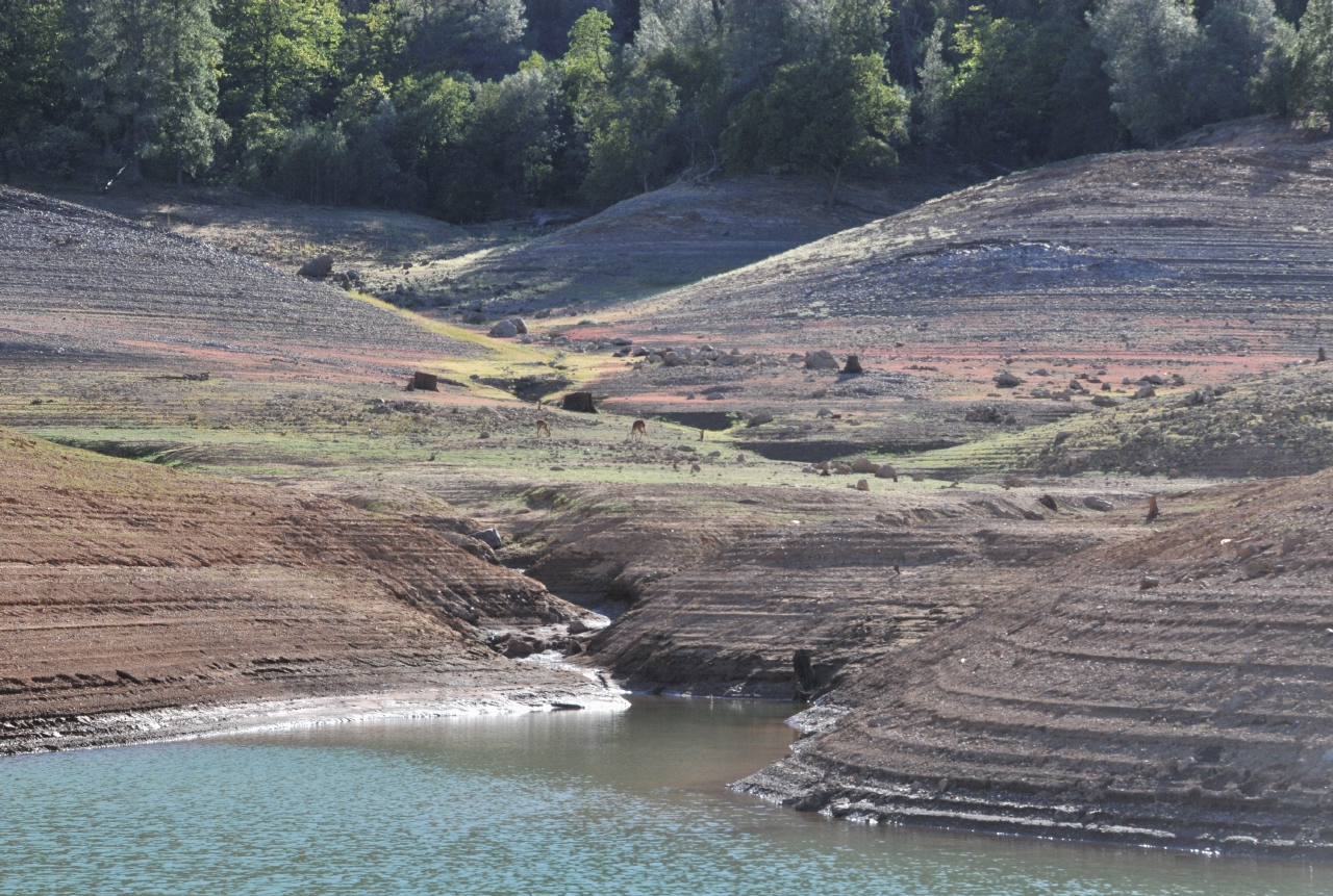 ./Shasta_Lake_20130919_165649_B13_7524.jpg