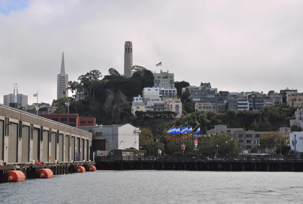 ./Nature_Cruise_SF_Bay_20130825_155402_B13_7045.jpg