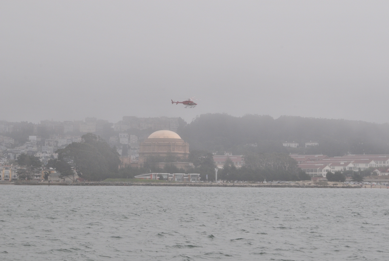 ./Nature_Cruise_SF_Bay_20130825_161030_B13_7062.jpg