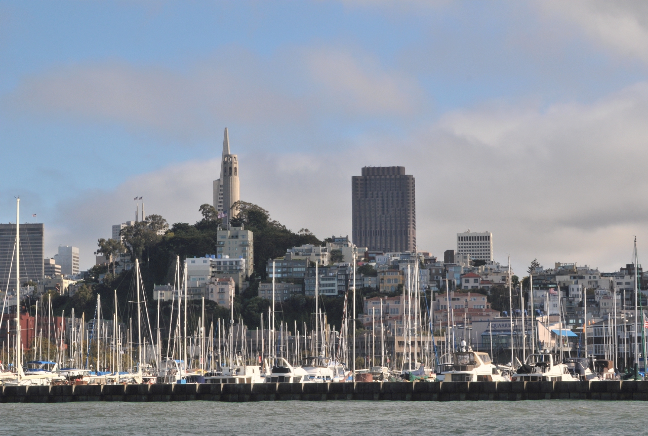 ./Nature_Cruise_SF_Bay_20130825_165258_B13_7142.jpg