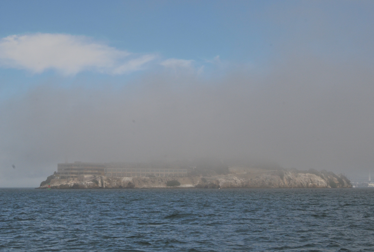 ./Nature_Cruise_SF_Bay_20130825_164407_B13_7133.jpg