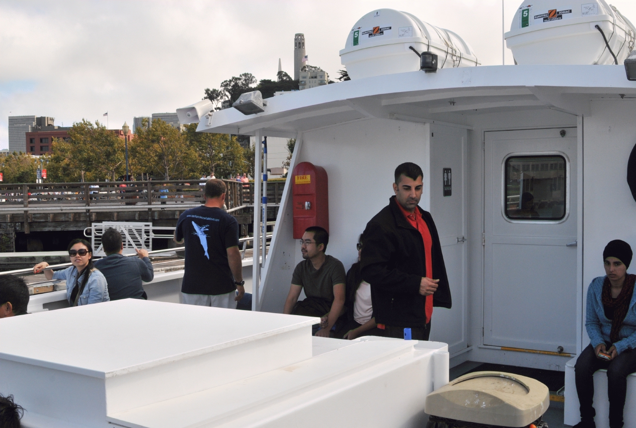 ./Nature_Cruise_SF_Bay_20130825_155144_B13_7035.jpg