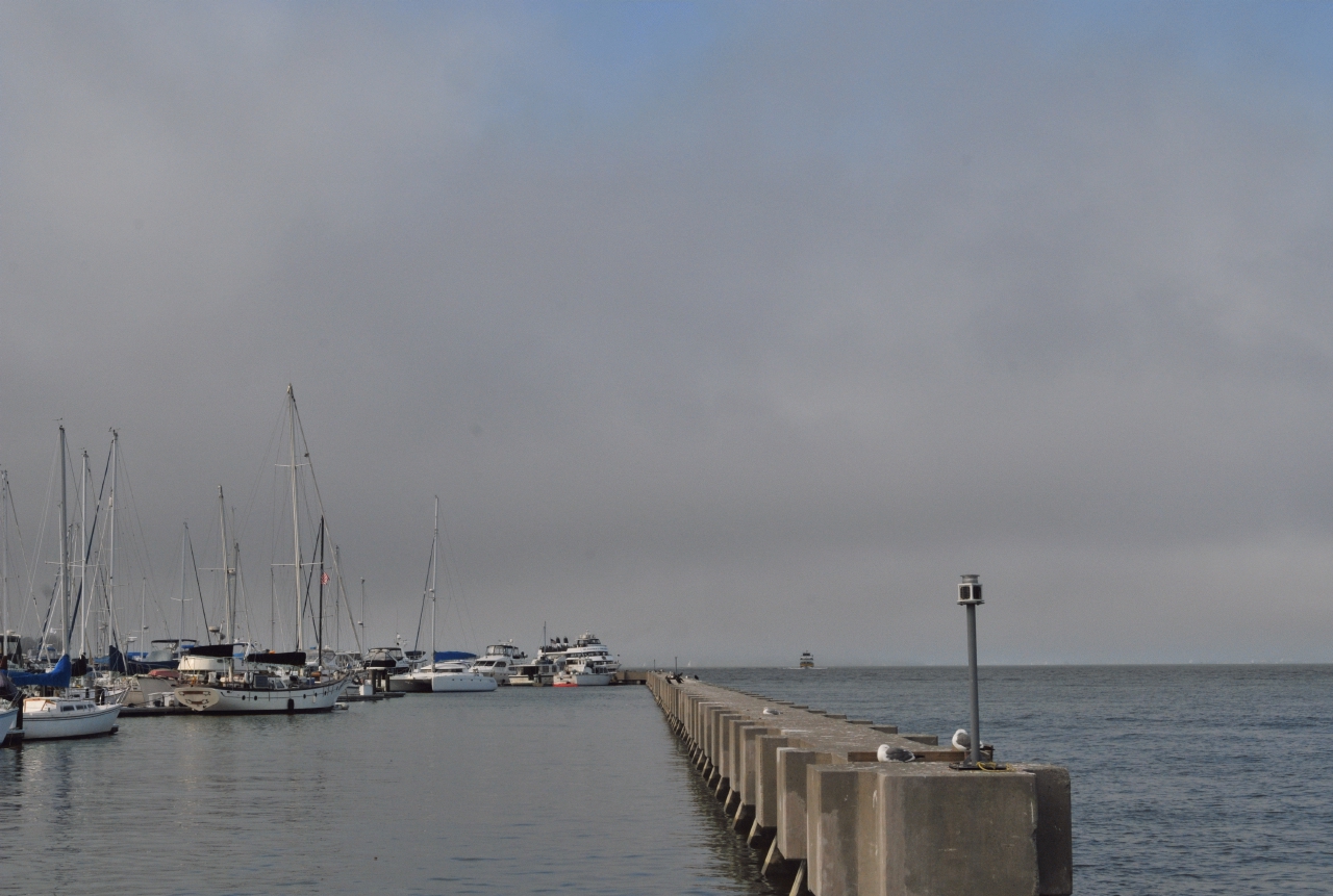 ./Nature_Cruise_SF_Bay_20130825_155315_B13_7042.jpg