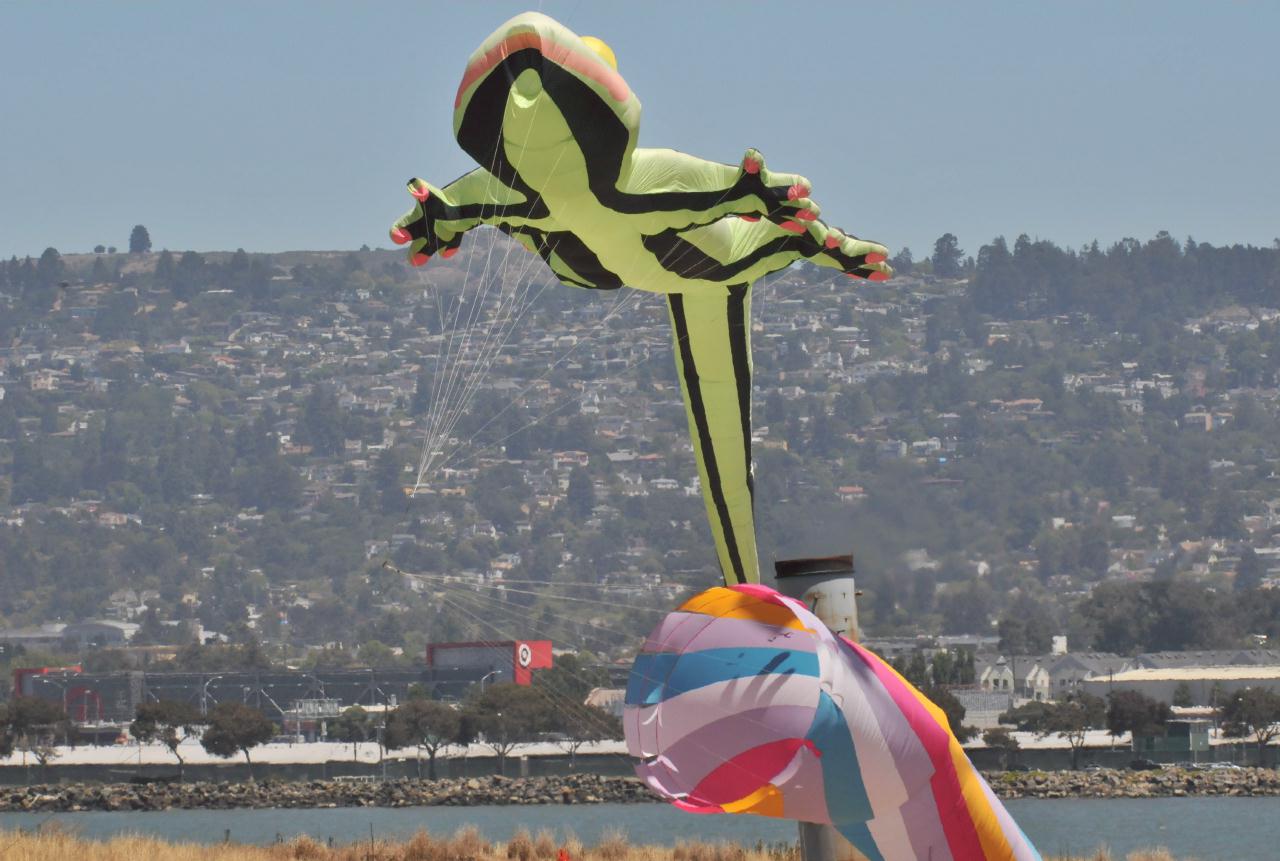 ./BerkeleyKiteFest20080726_14_0599TNT.jpg