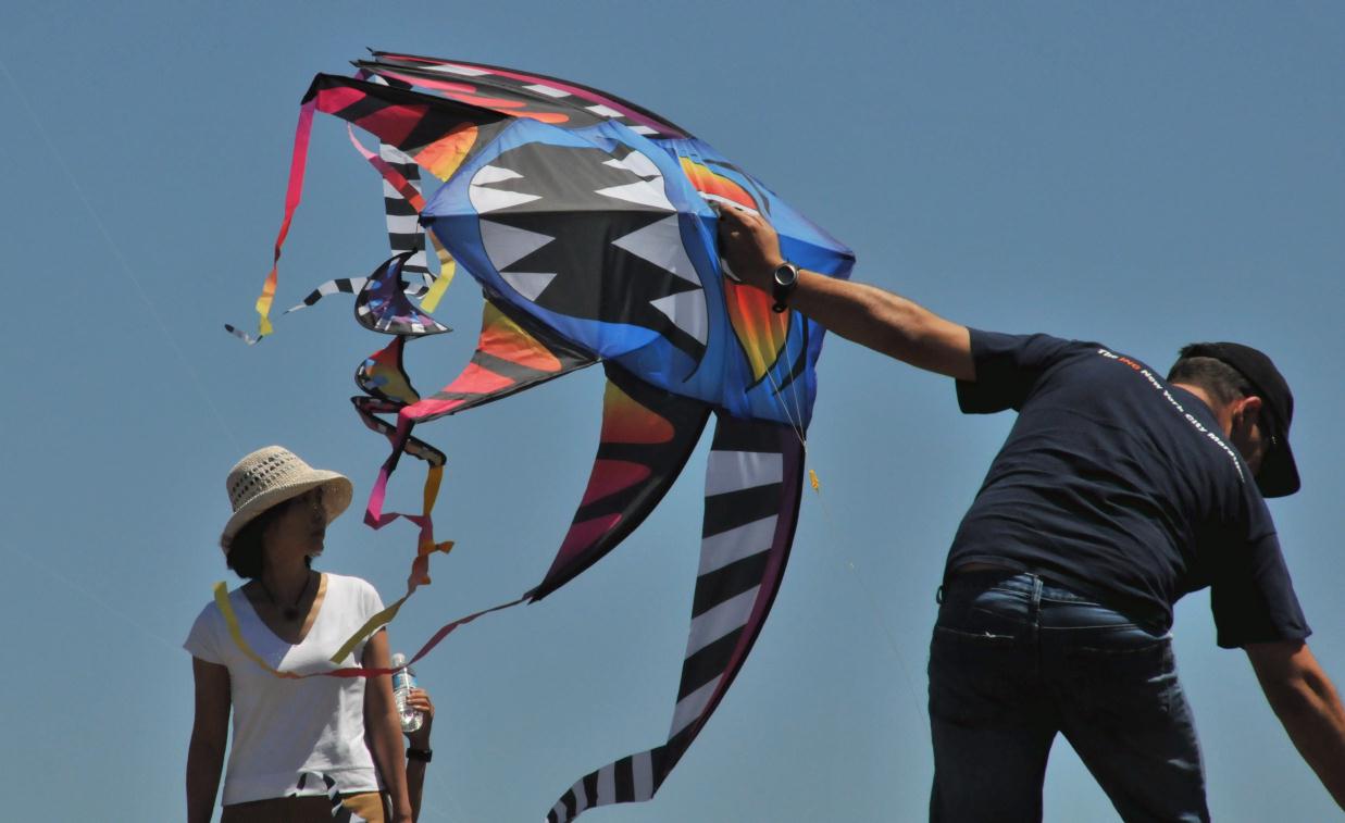 ./BerkeleyKiteFest20080726_52_0650TNT.jpg