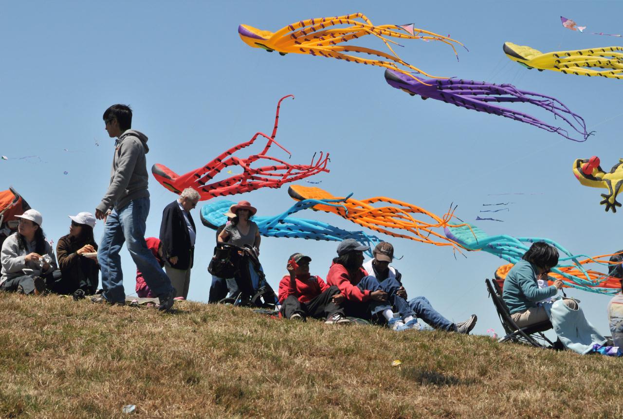 ./BerkeleyKite20090725_04_131956_7469BCX.jpg