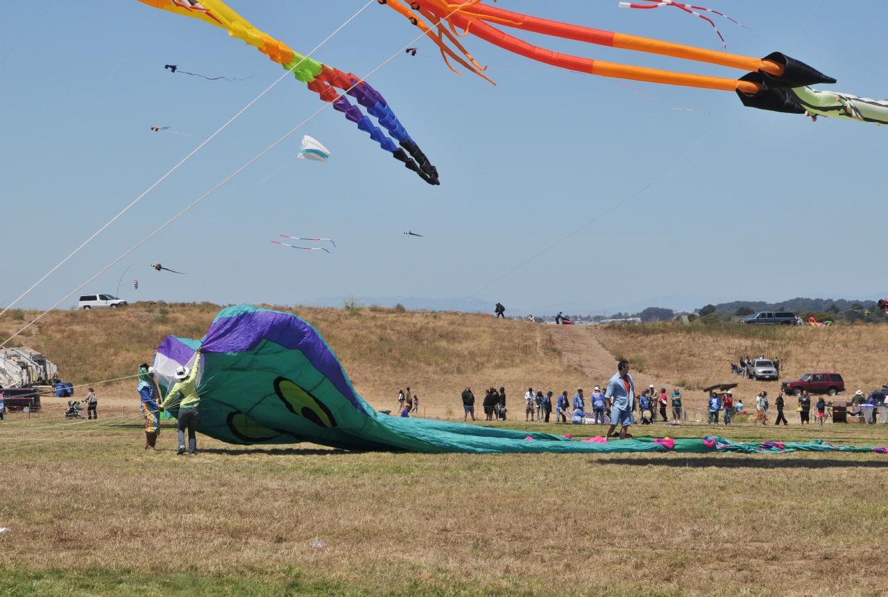 ./BerkeleyKite20090725_11_132704_7484BCX.jpg