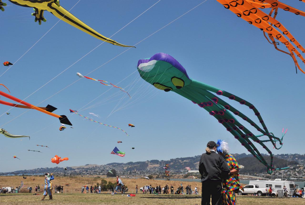 ./BerkeleyKite20090725_14_134020_6737TNT.jpg