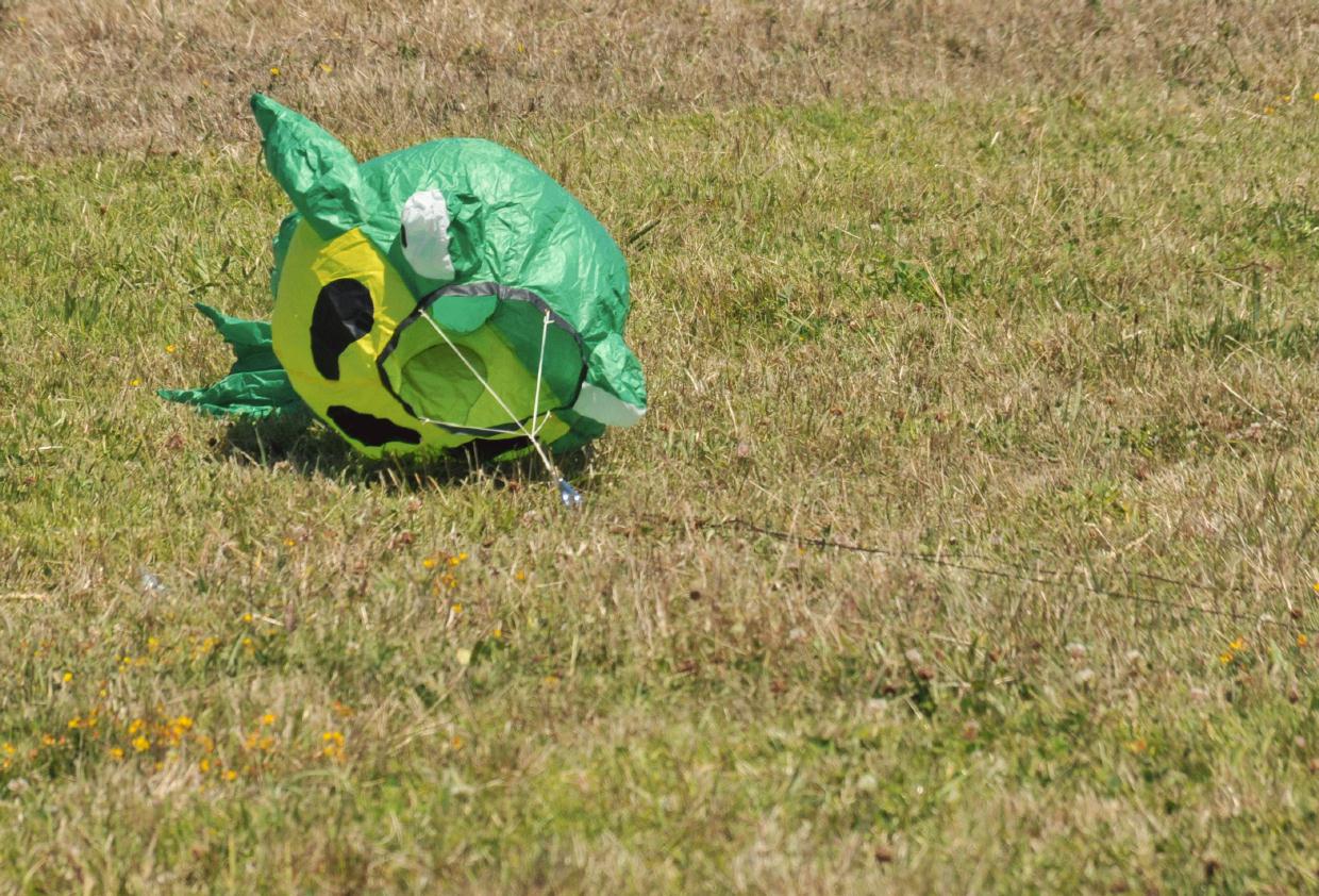 ./BerkeleyKite20090725_39_140004_6809TNT.jpg