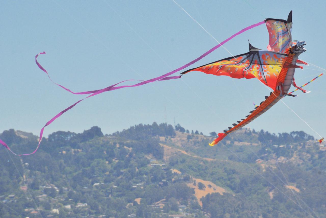 ./BerkeleyKite20090725_40_141016_6819TNT.jpg