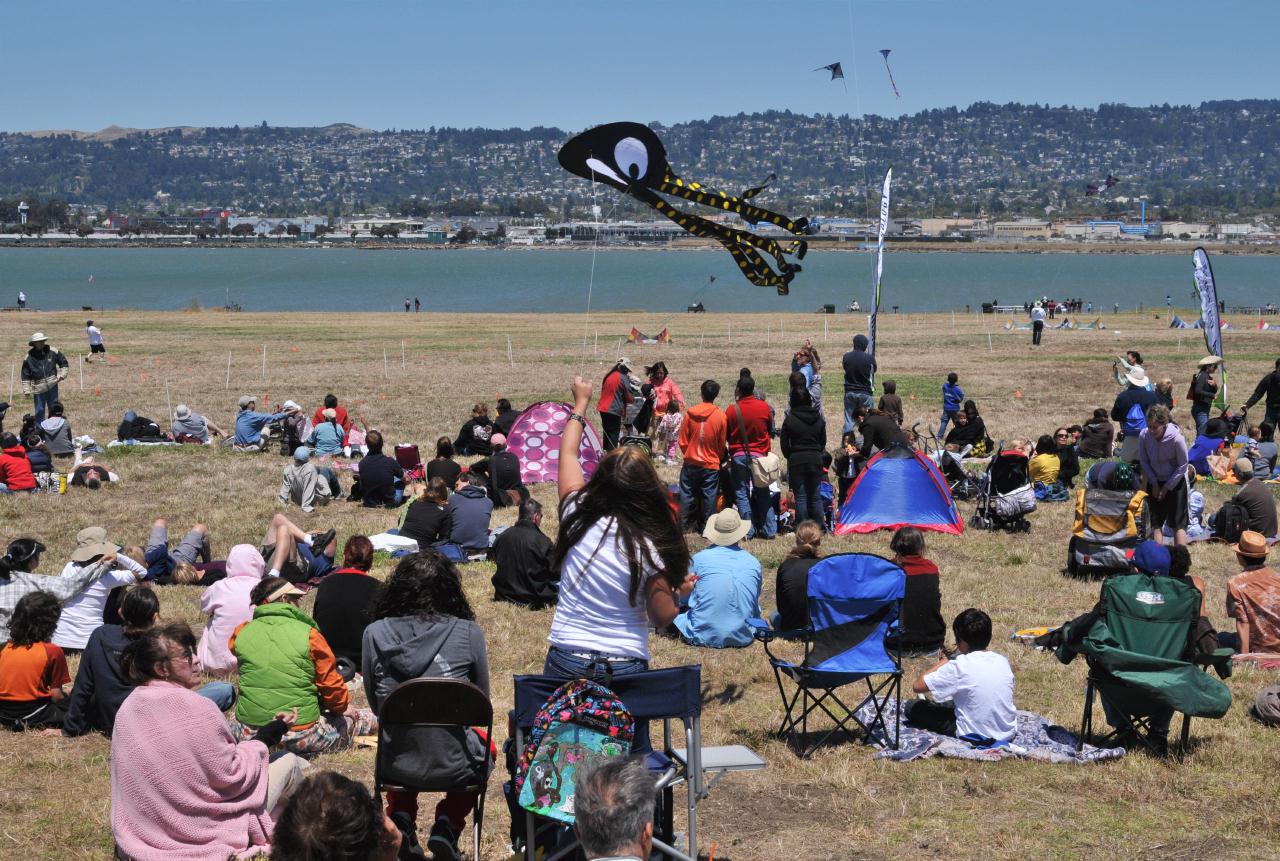 ./BerkeleyKite20090725_41_141112_7541BCX.jpg